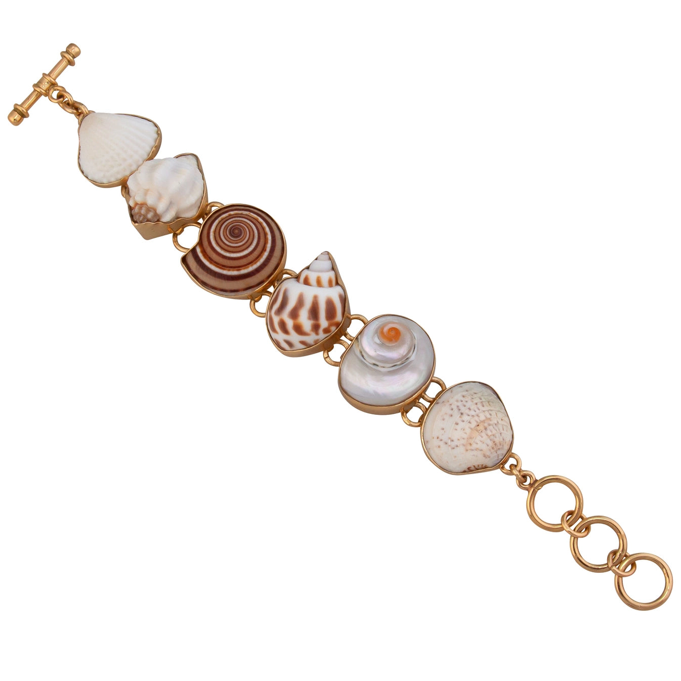 Charles Albert Multi-Shell Bracelet - Large