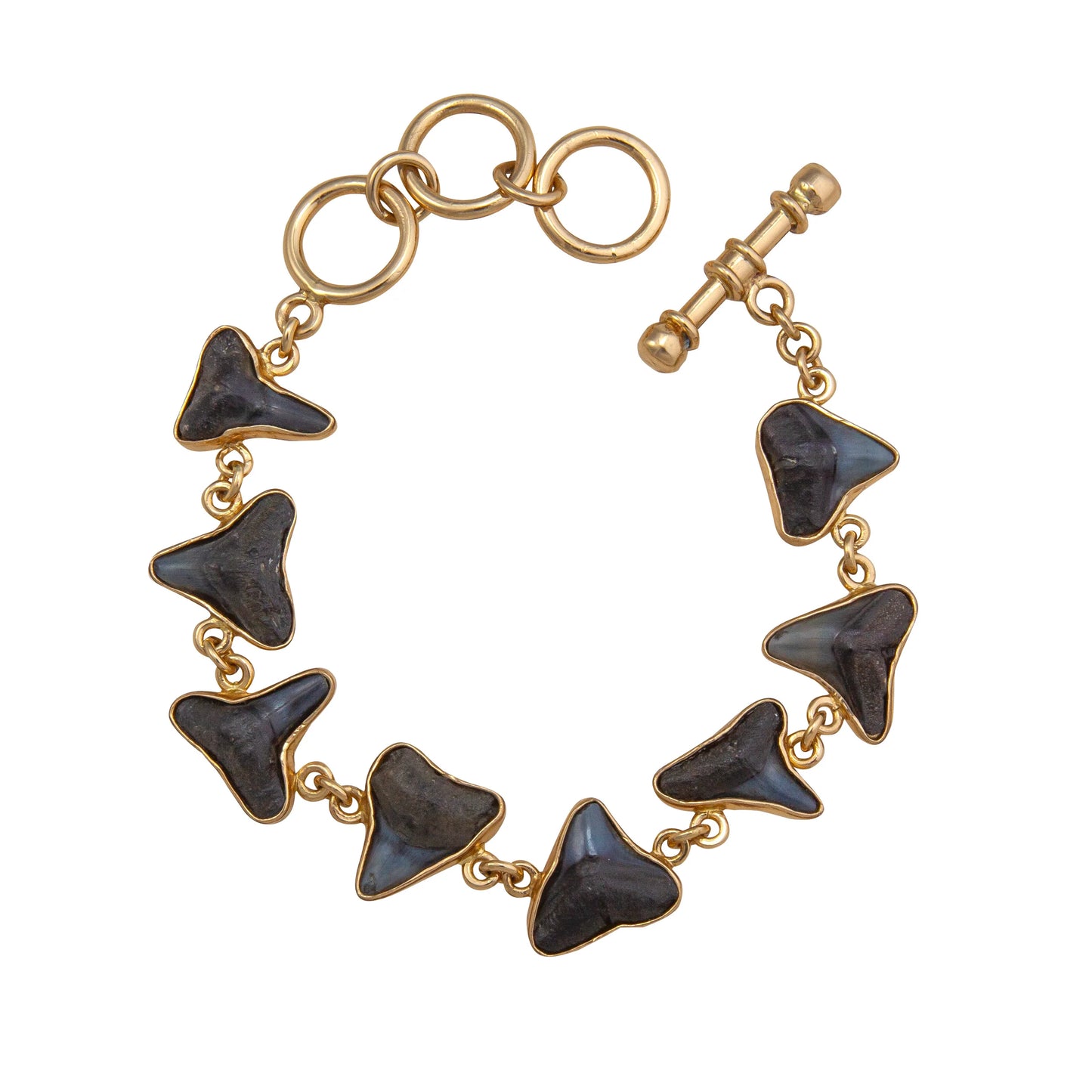 Charles Albert Shark Tooth Bracelet