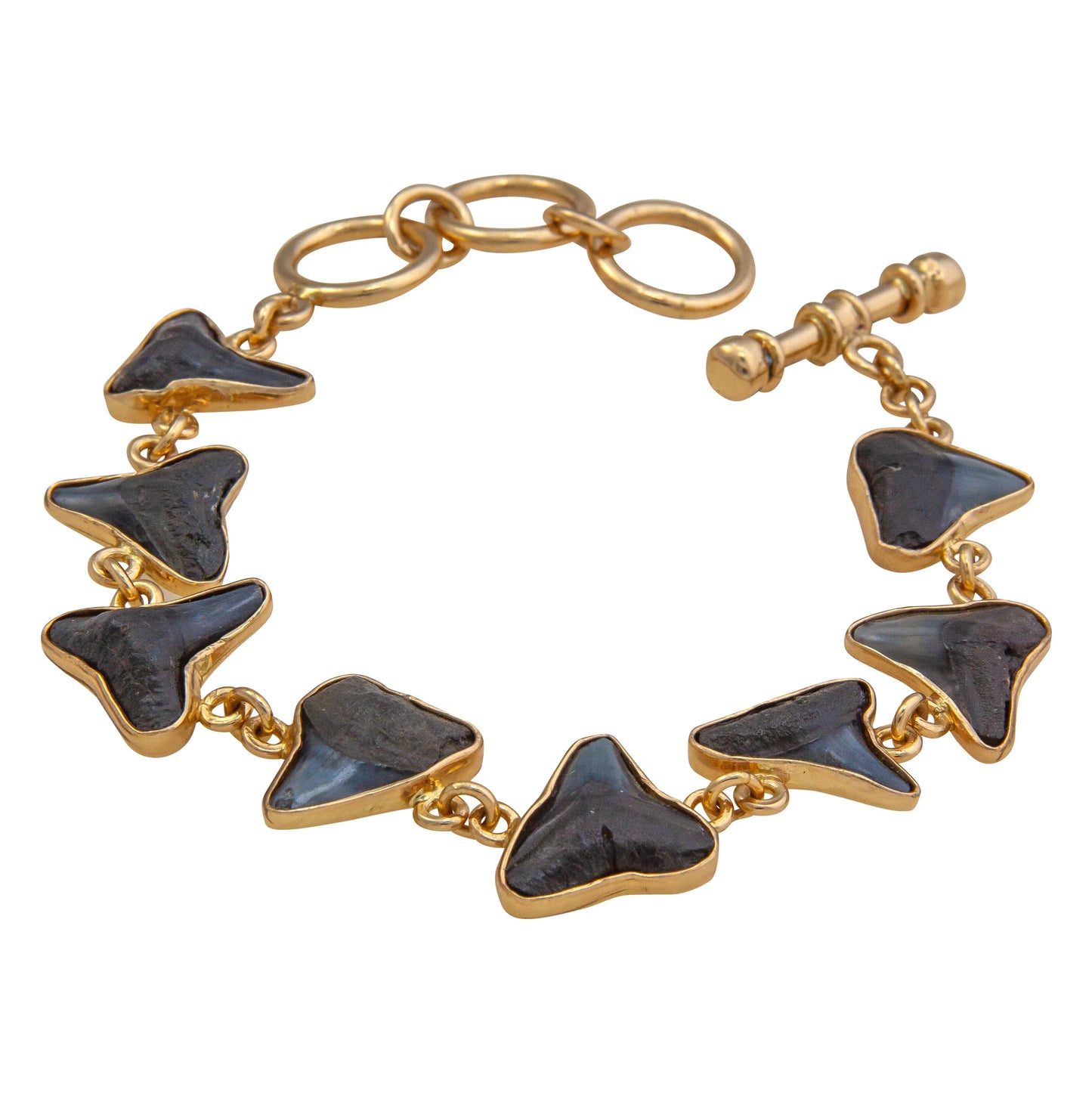 Charles Albert Shark Tooth Bracelet