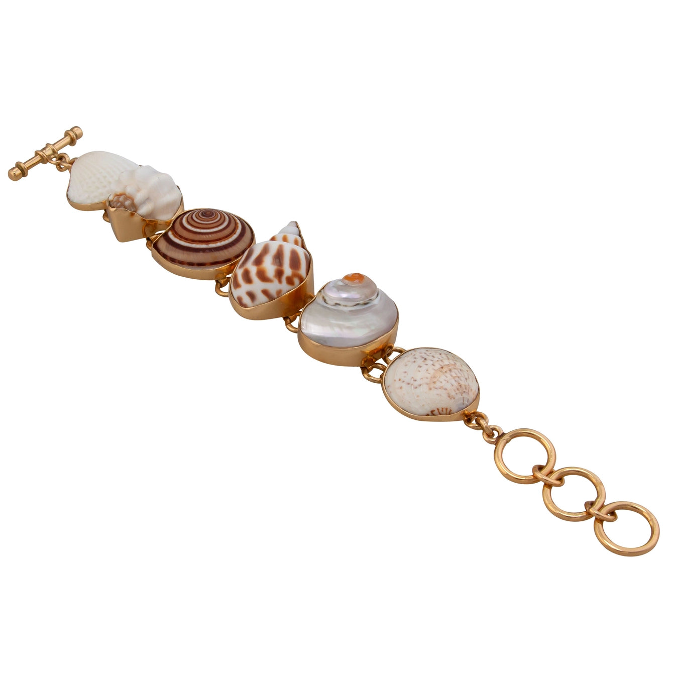 Charles Albert Multi-Shell Bracelet - Large