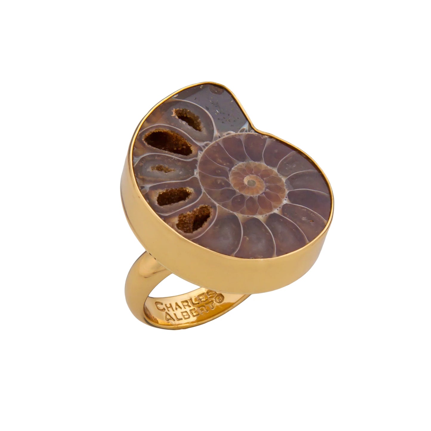Charles Albert Ammonite Adjustable Ring
