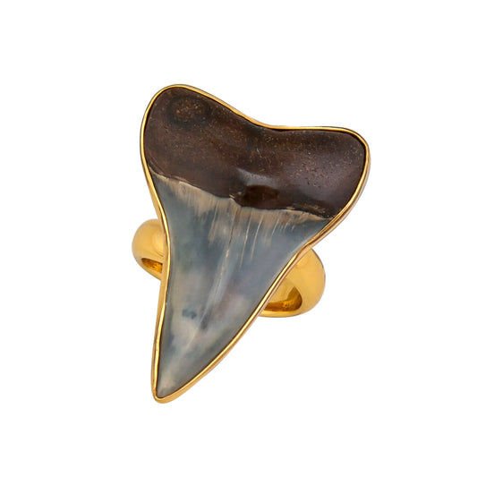 Charles Albert Fossil Shark Tooth Adjustable Ring - Large