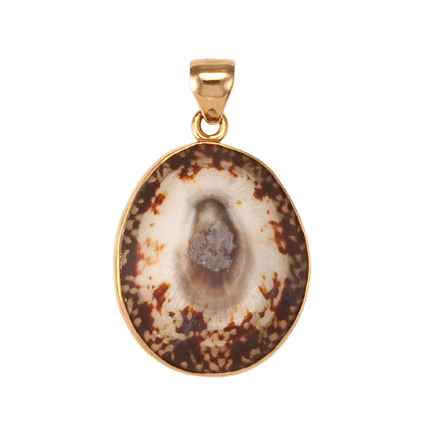 Charles Albert Limpet Shell Pendant