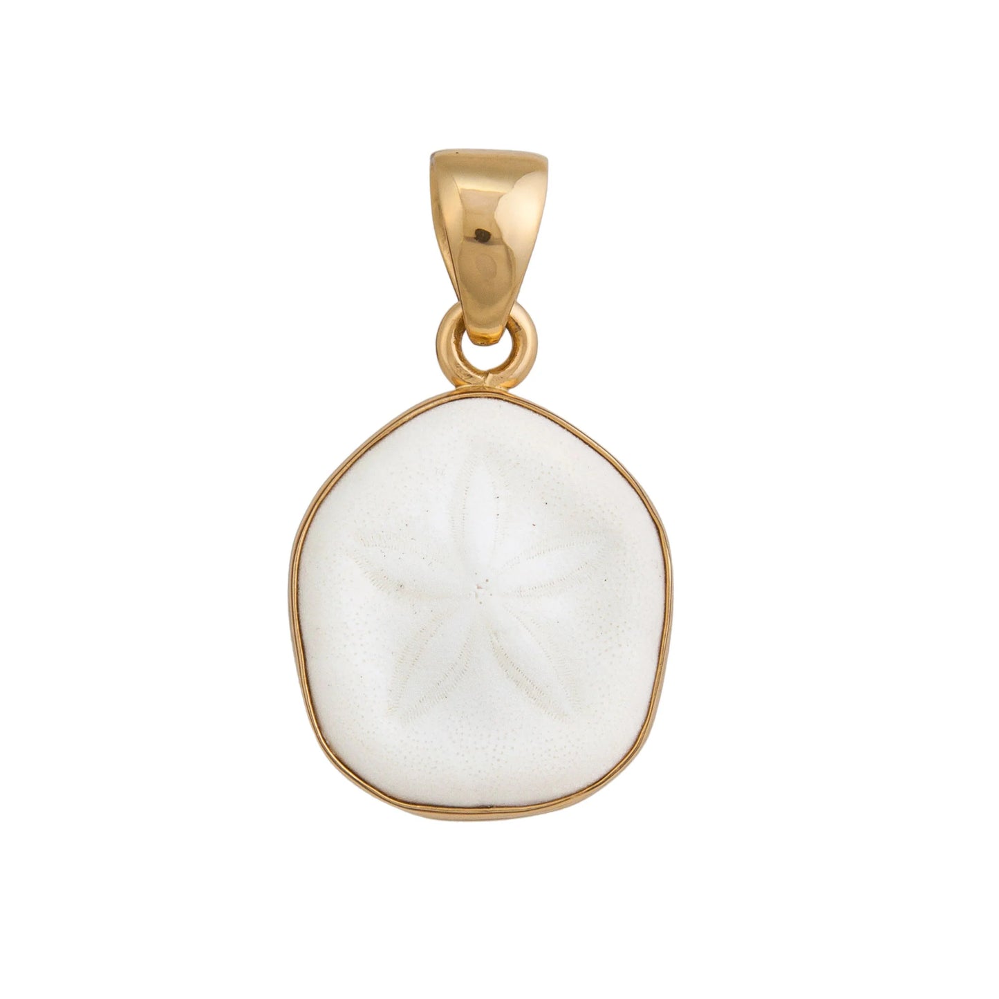 Charles Albert Sand Dollar Shell Pendant