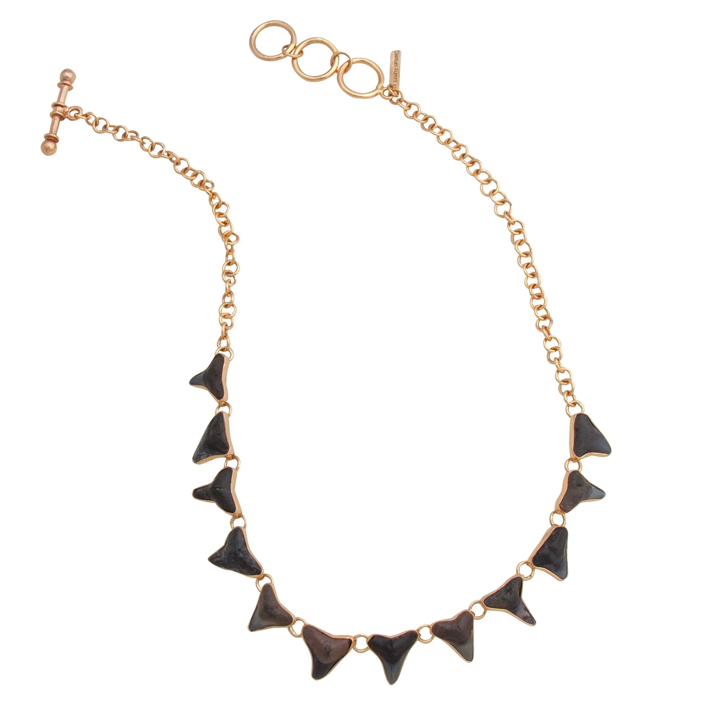 Charles Albert Fossil Shark Teeth Necklace