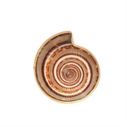 Charles Albert Sundial Shell Adjustable Ring