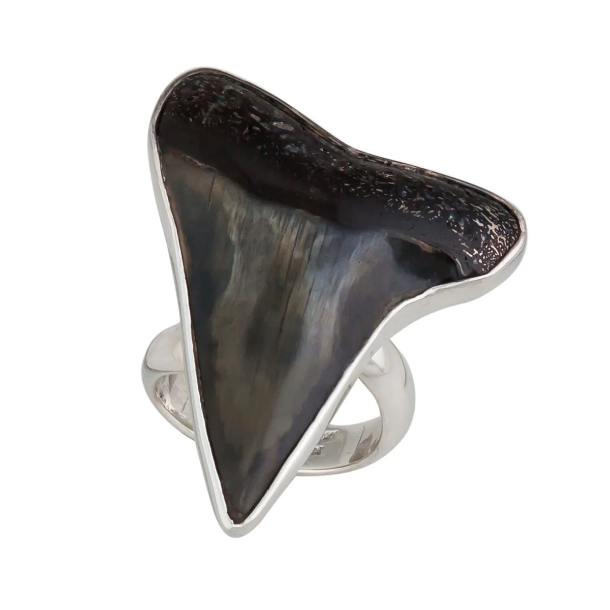 Charles Albert Fossil Shark Tooth Adjustable Ring - Large