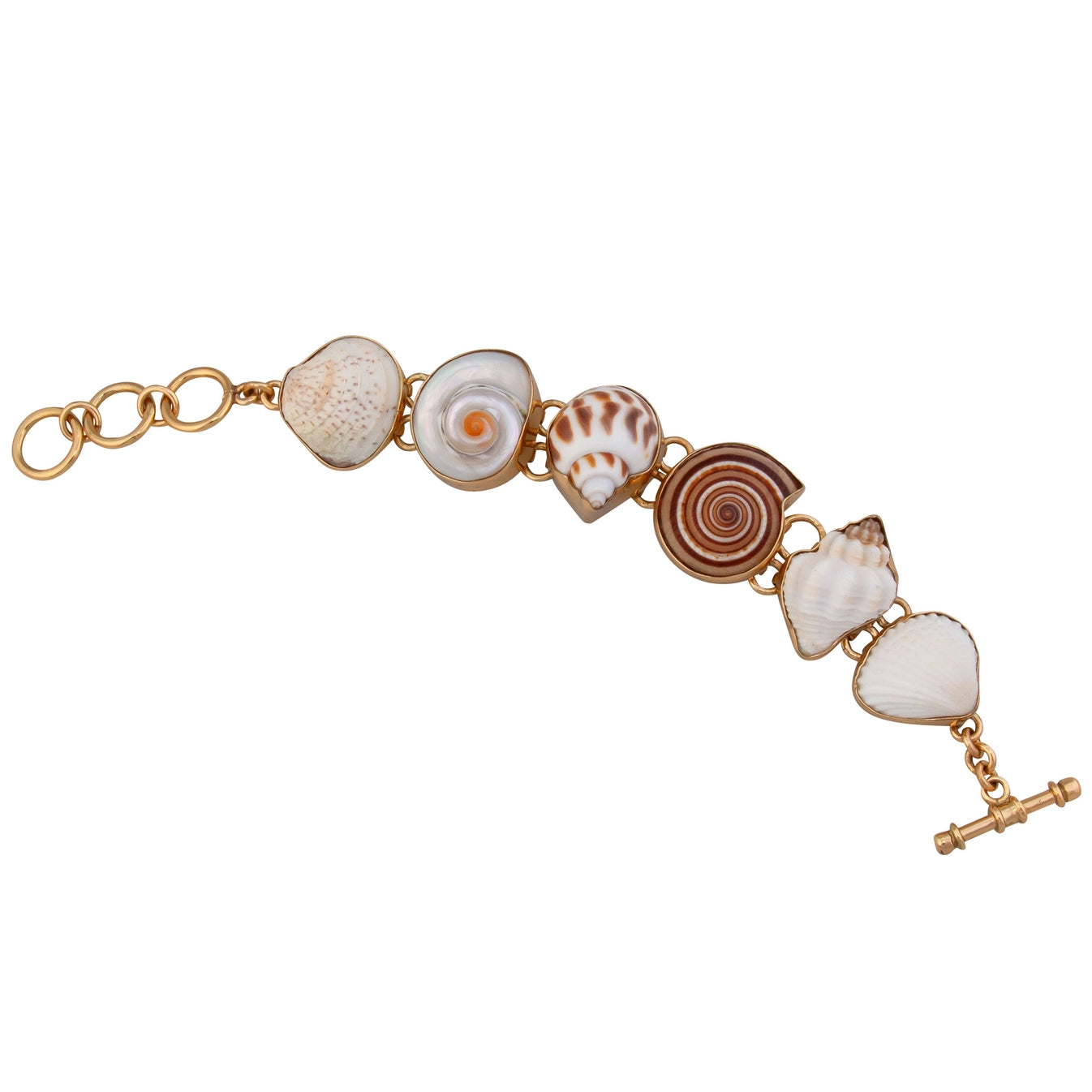Charles Albert Multi-Shell Bracelet - Large