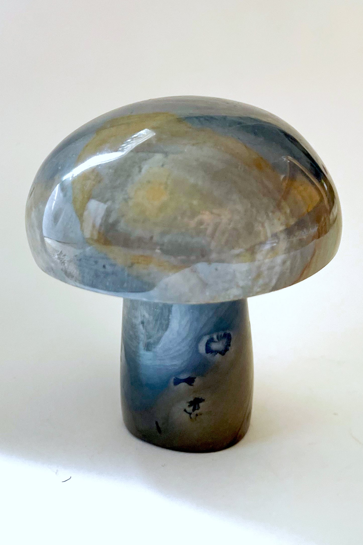 Gemstone Mushrooms- Medium/Wide