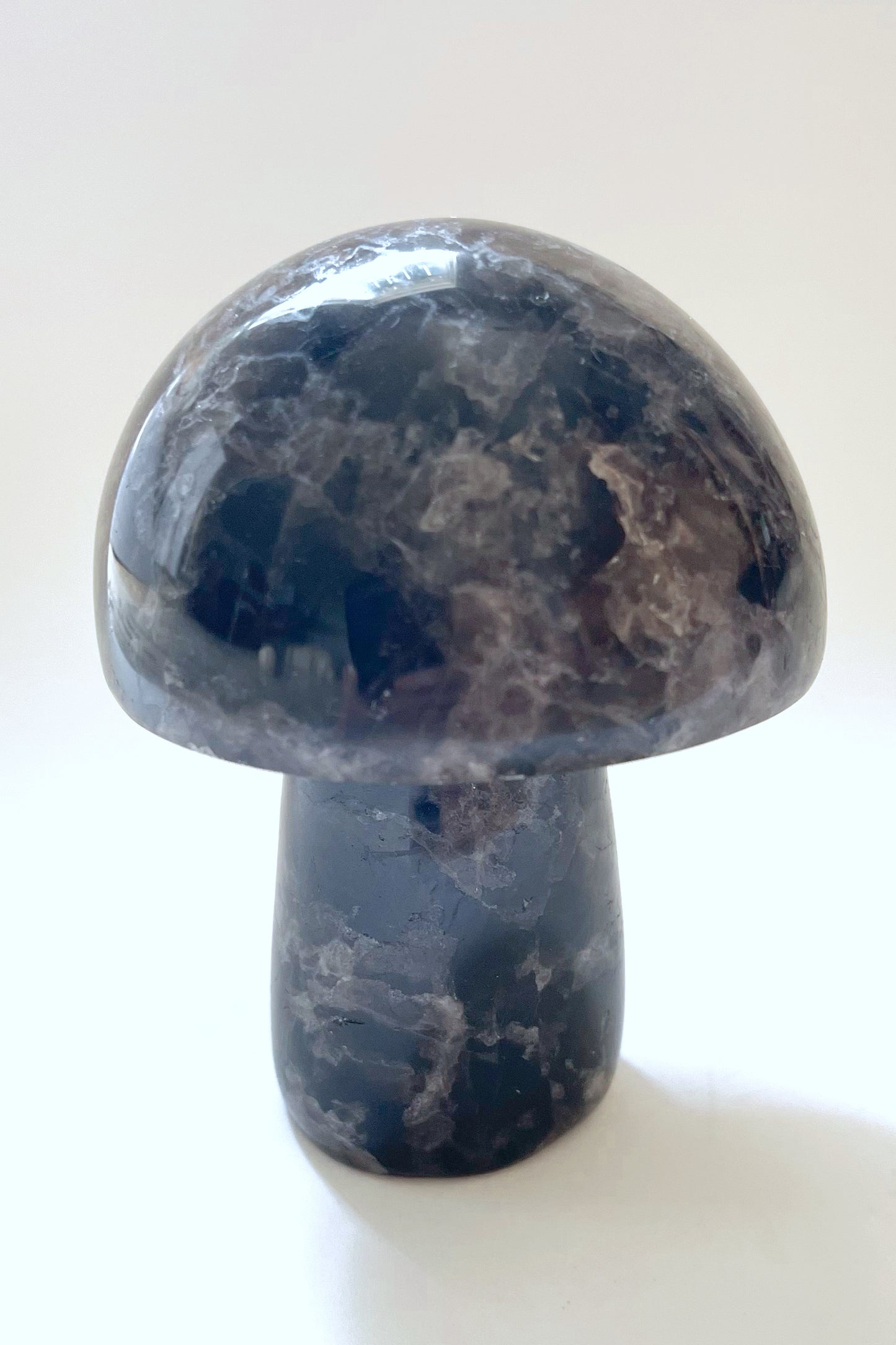 Gemstone Mushrooms- Medium/Wide