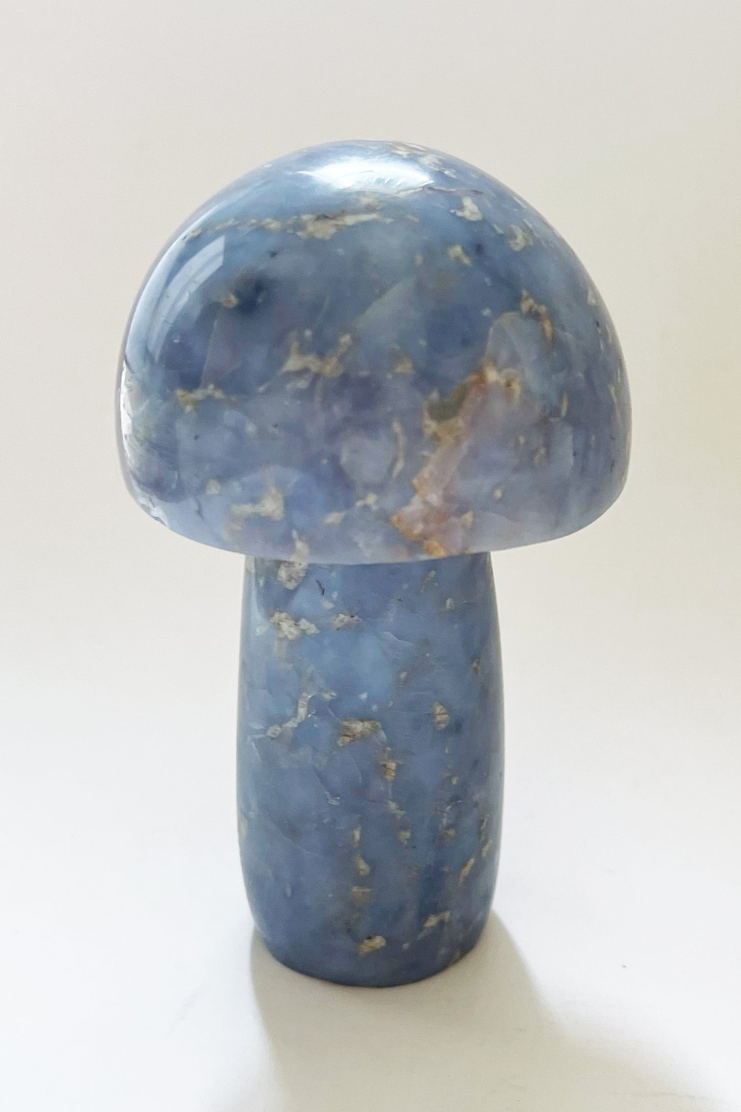 Gemstone Mushrooms- Medium