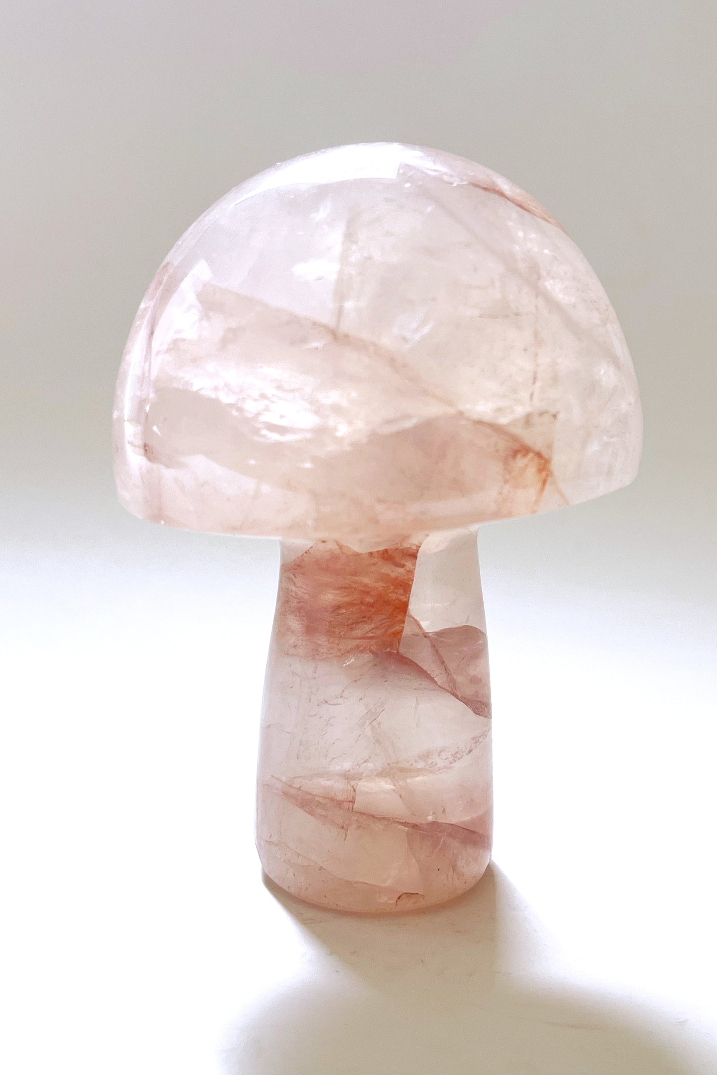 Gemstone Mushrooms- Medium