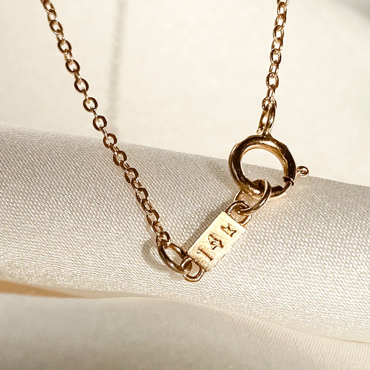 Thatch California 14k Fine Amaya Heart Necklace