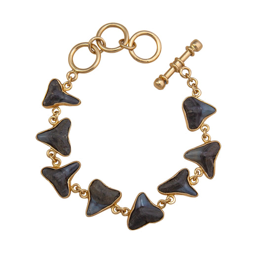 Charles Albert Shark Tooth Bracelet