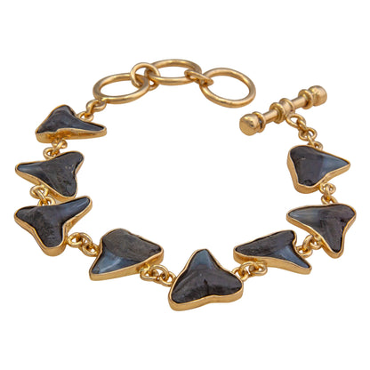 Charles Albert Shark Tooth Bracelet