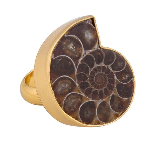 Charles Albert Ammonite Ring