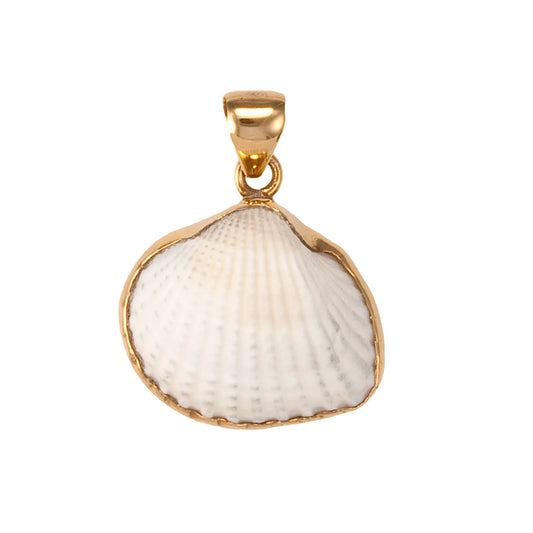 Charles Albert Ark Shell Pendant