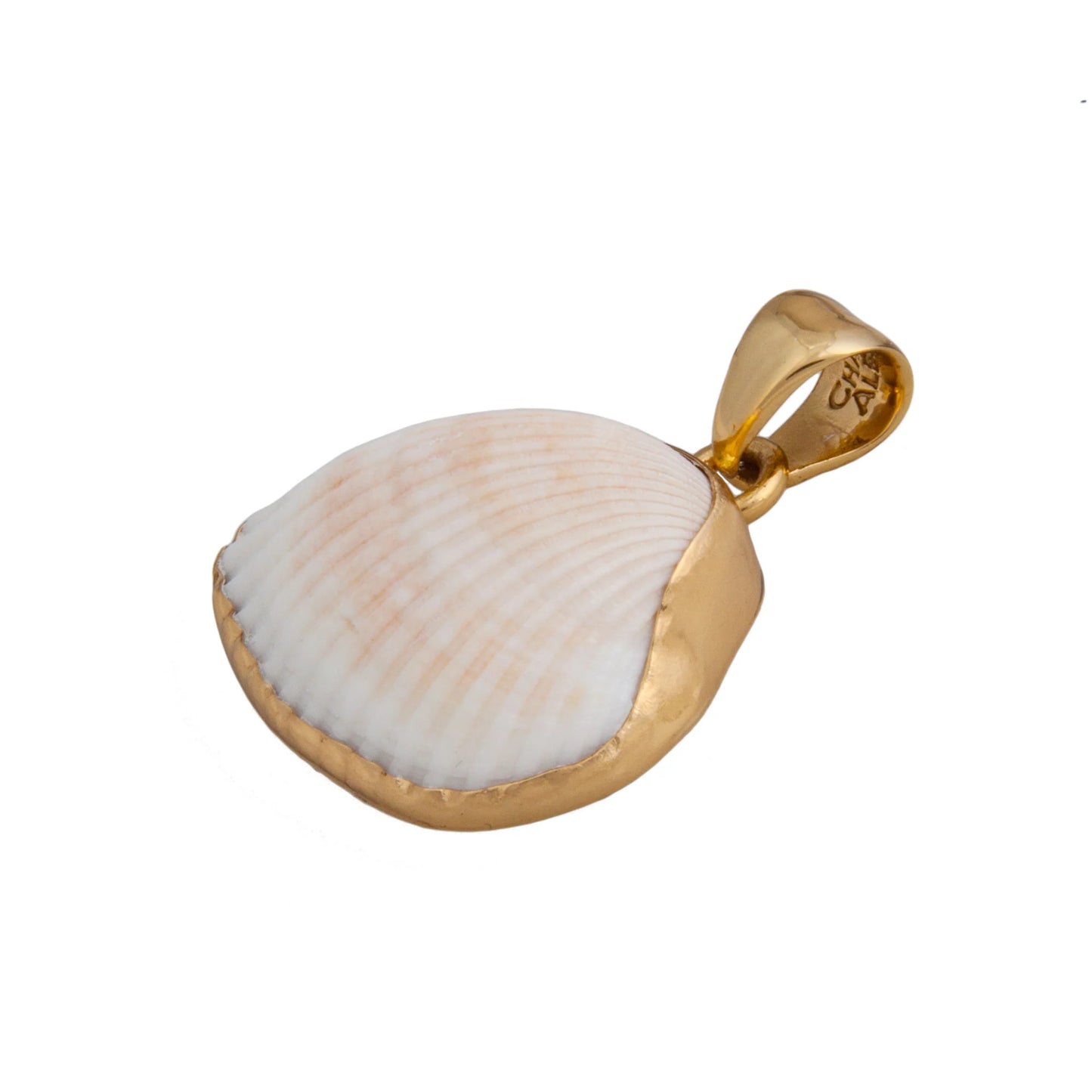 Charles Albert Ark Shell Pendant