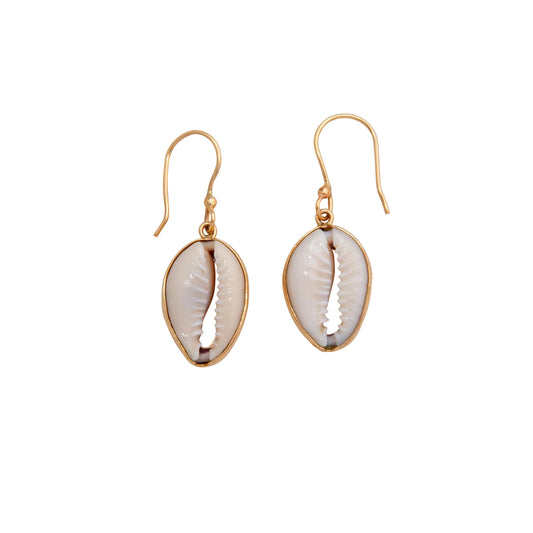 Charles Albert Cowry Shell Drop Earringsk