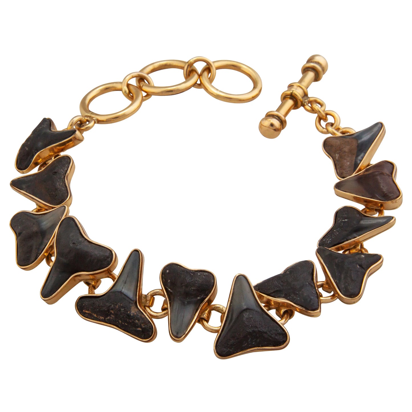 Charles Albert Small Fossil Shark Teeth Bracelet