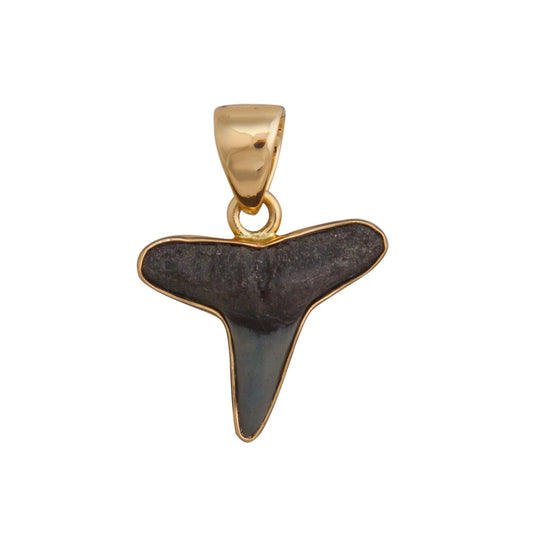 Charles Albert Mini Fossil Shark Tooth Pendant