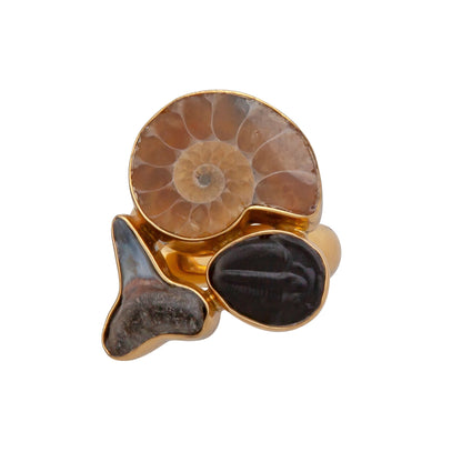 Charles Albert Multi-Fossil Ring