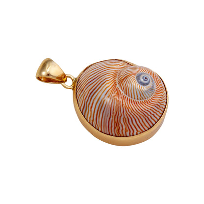 Charles Albert Whale Eye Shell Pendant