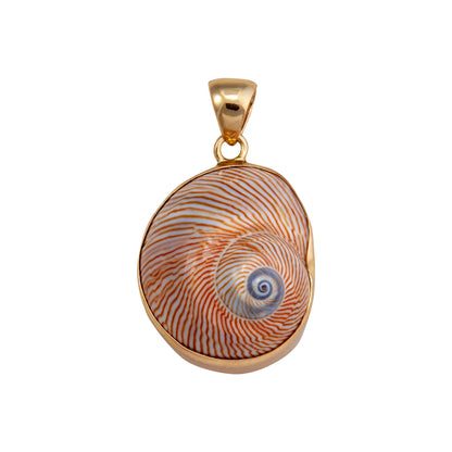 Charles Albert Whale Eye Shell Pendant