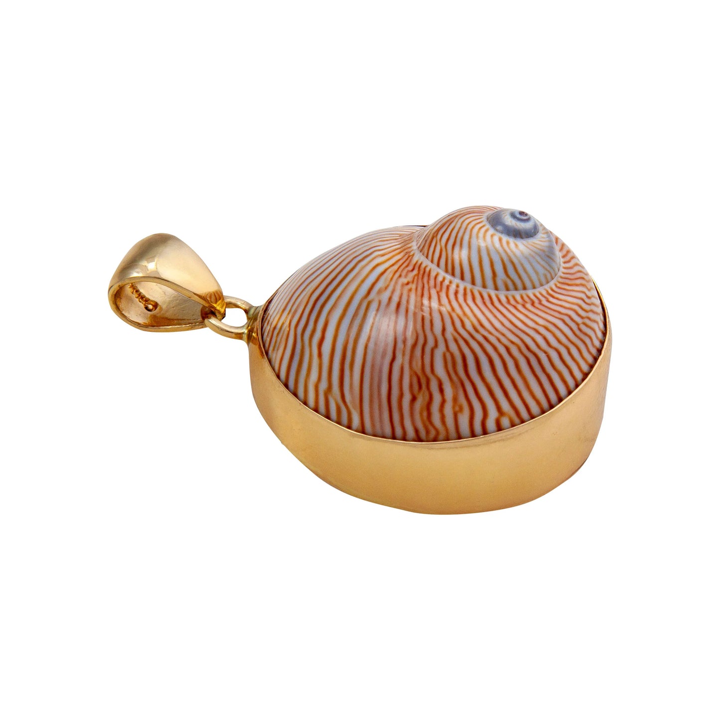 Charles Albert Whale Eye Shell Pendant