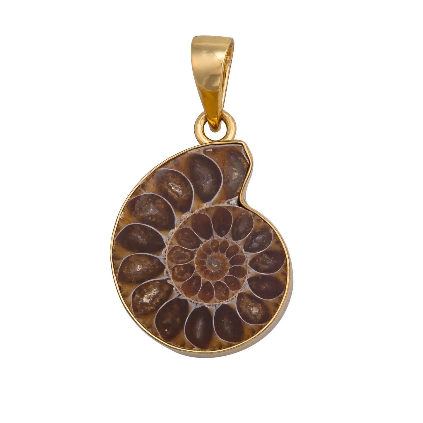 Charles Albert Ammonite Pendant