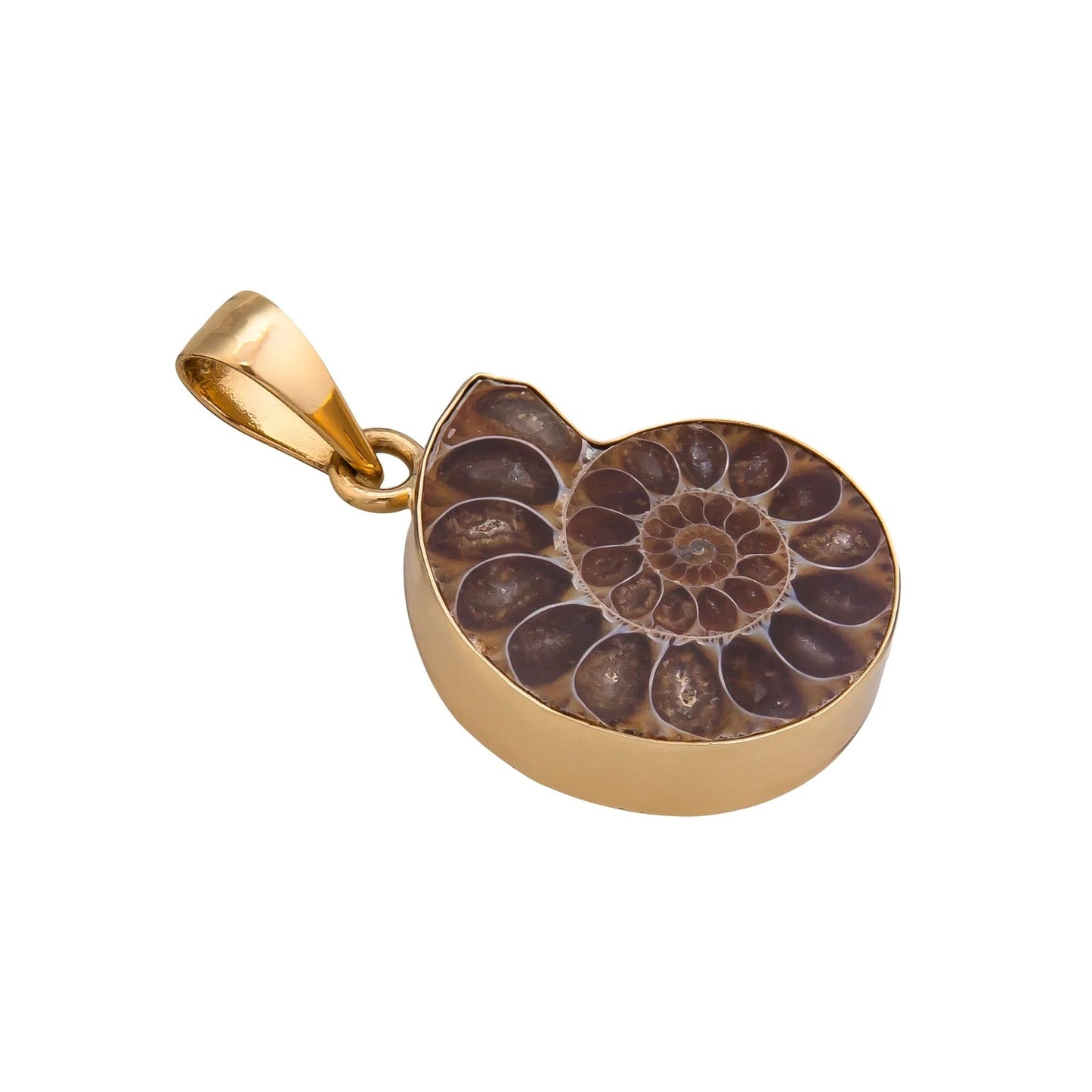 Charles Albert Ammonite Pendant