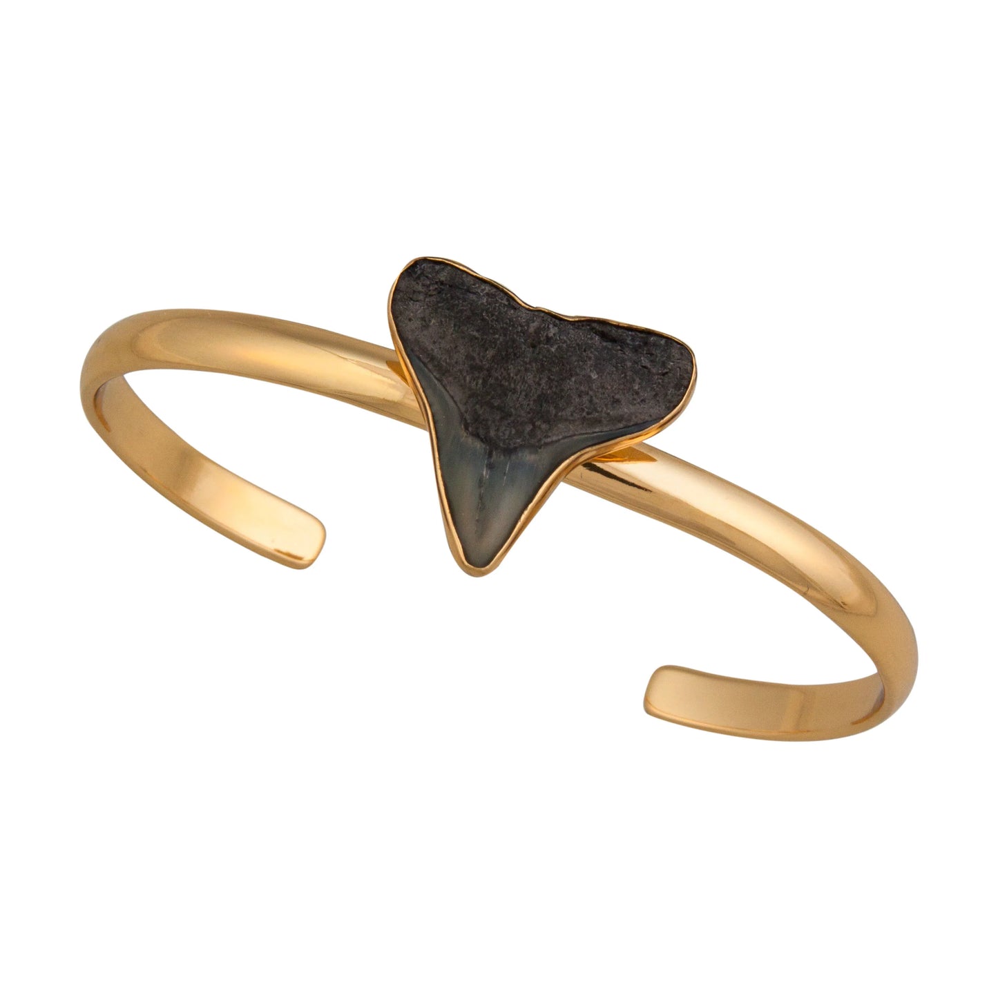 Charles Albert Fossil Shark Tooth Cuff