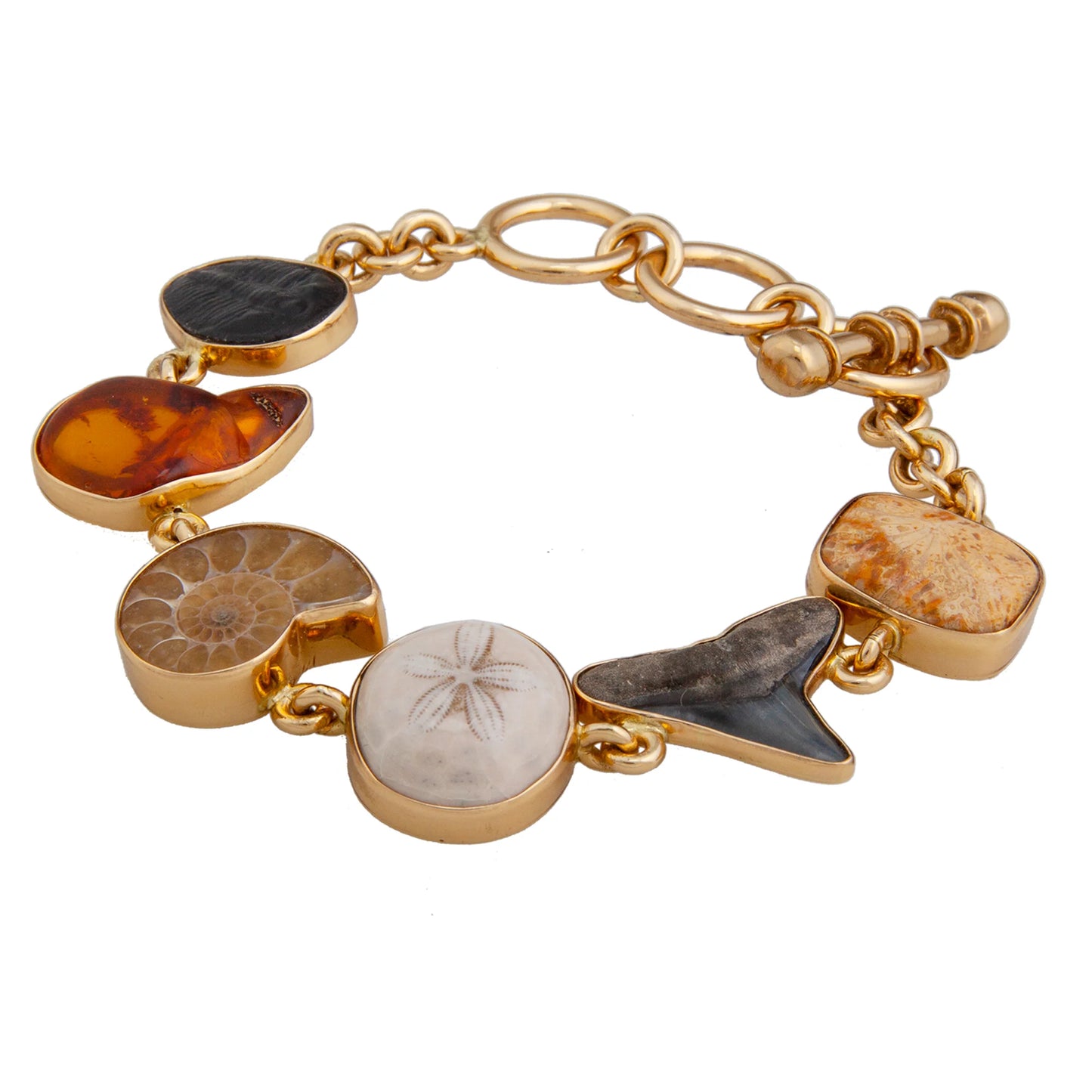 Charles Albert Small Multi-Fossil Bracelet