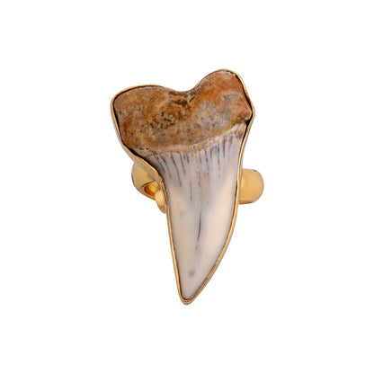 Charles Albert Alchemia Tan Fossil Shark Tooth Adjustable Ring