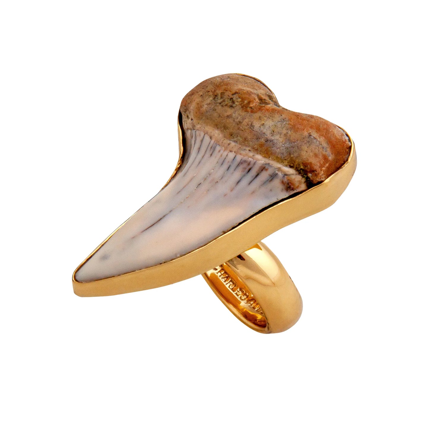 Charles Albert Alchemia Tan Fossil Shark Tooth Adjustable Ring