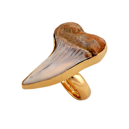 Charles Albert Alchemia Tan Fossil Shark Tooth Adjustable Ring