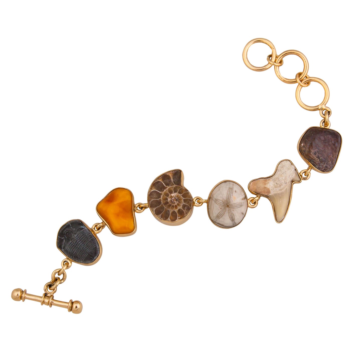 Charles Albert Alchemia Small Multi-Fossil Bracelet
