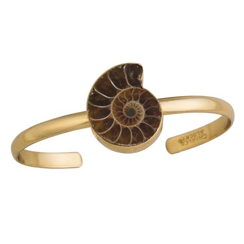 Charles Albert Ammonite Cuff