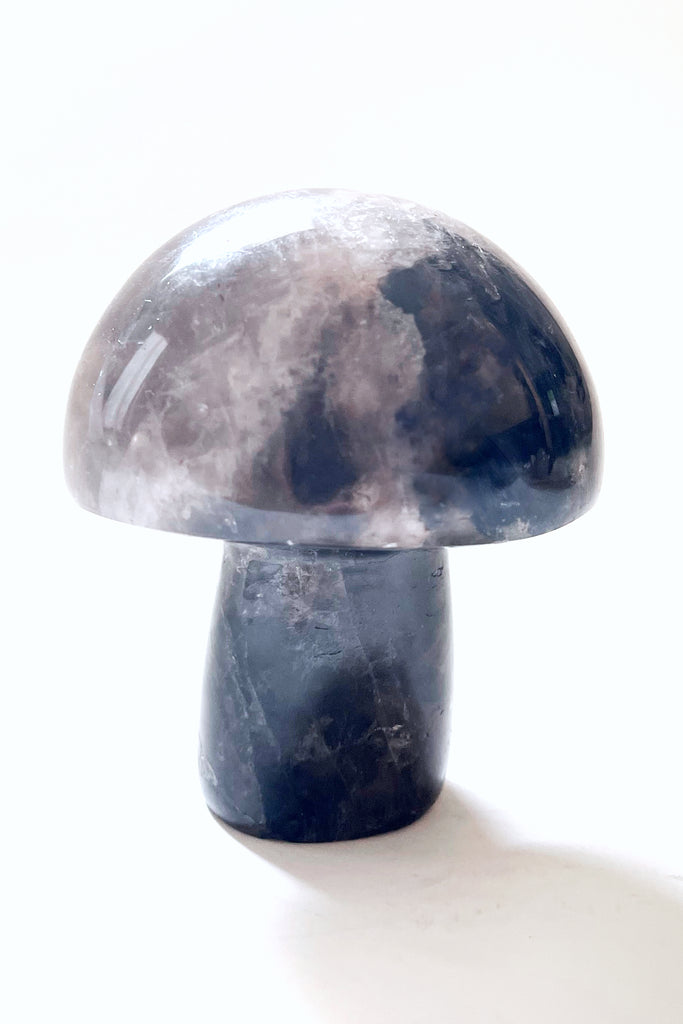 Gemstone Mushrooms- Medium