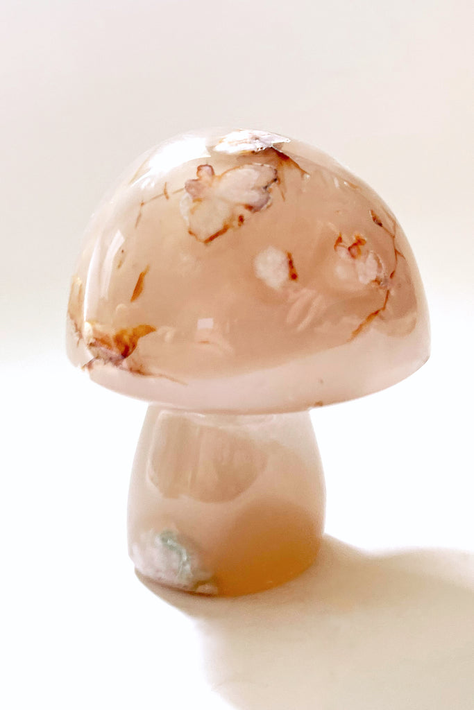 Gemstone Mushrooms- Small $60