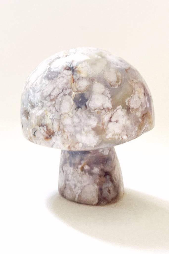 Gemstone Mushrooms- Small