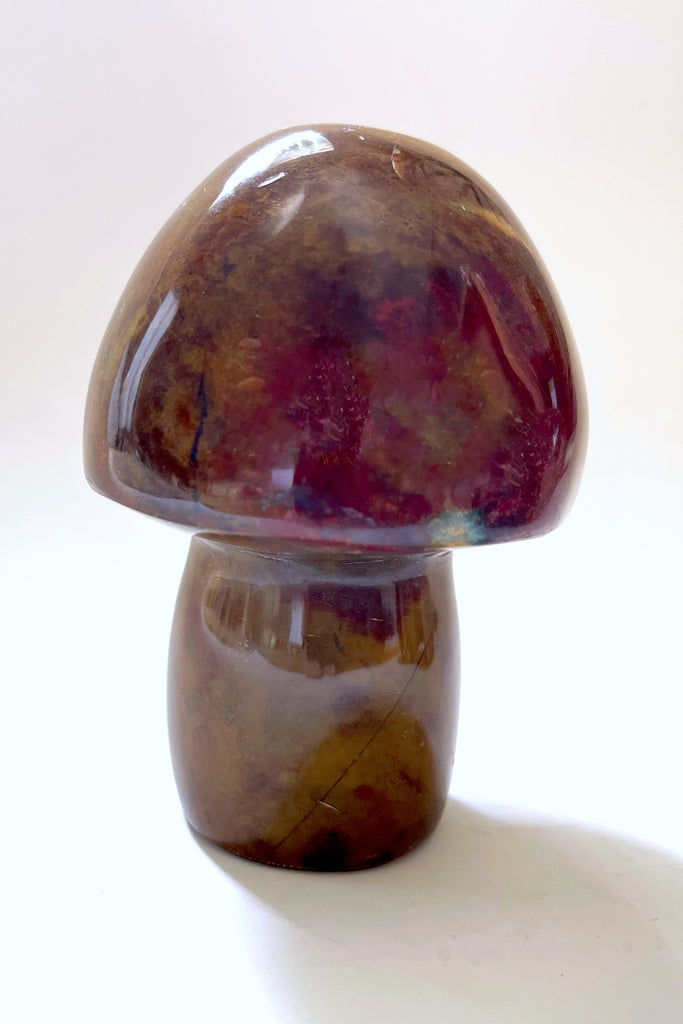Gemstone Mushrooms- Medium