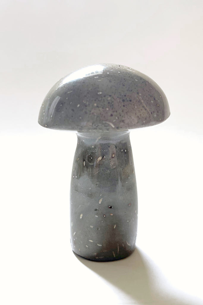 Gemstone Mushrooms- Extra Small